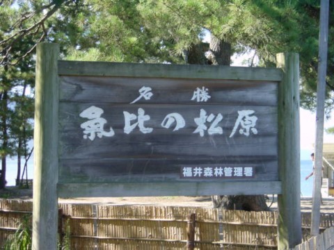 Click for original image